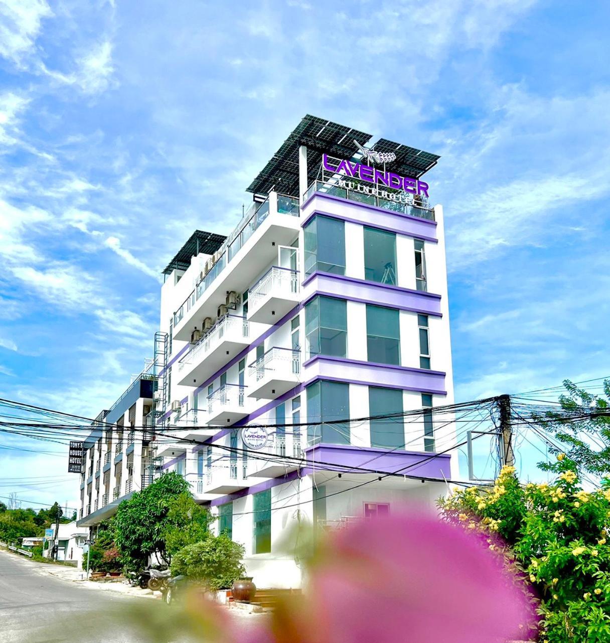 Lavender Muine Hotel Mũi Né Extérieur photo